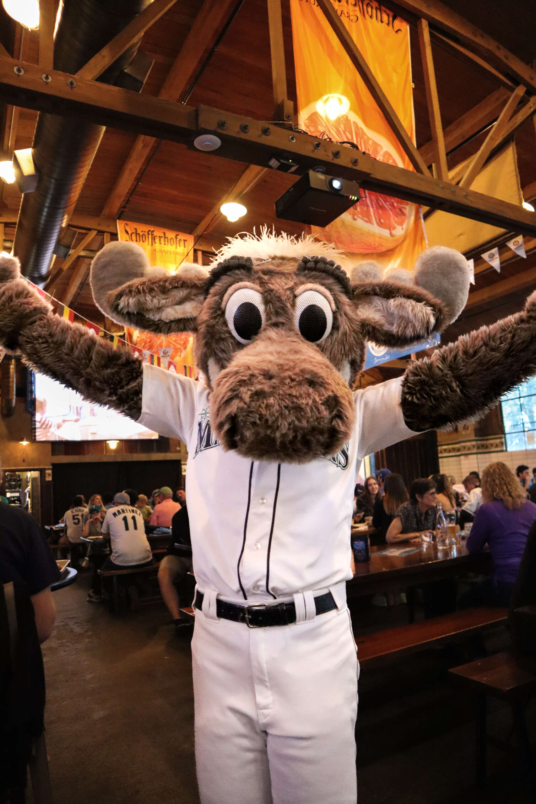 June 05, 2016: Seattle Mariner's mascot, Mariner Moose during the